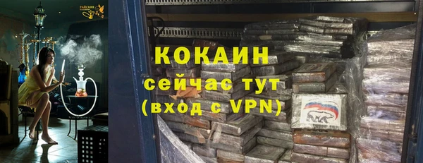 индика Алзамай